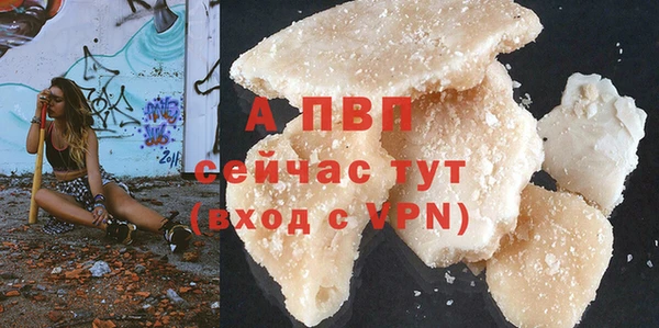амф Коряжма