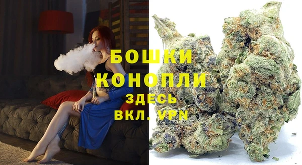 амф Коряжма