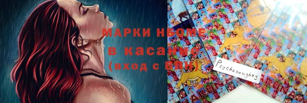 амф Коряжма